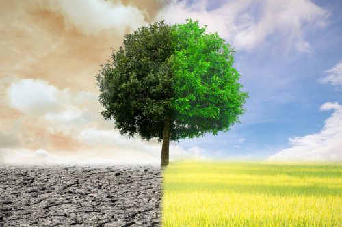 Υποβολή πρότασης στην Πρόσκληση 67 της Περιφέρειας Θεσσαλίας για την προστασία οικισμών από πυρκαγιές και φυσικές καταστροφές στο πλαίσιο της κλιματικής κρίσης.