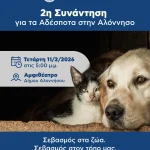 Τα αδέσποτα μάς αφορούν όλους
