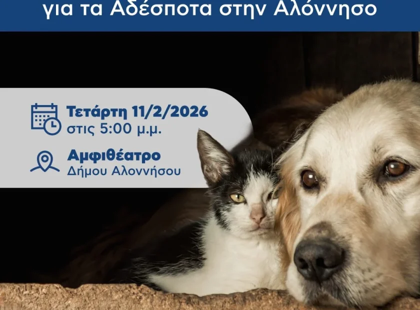 Τα αδέσποτα μάς αφορούν όλους