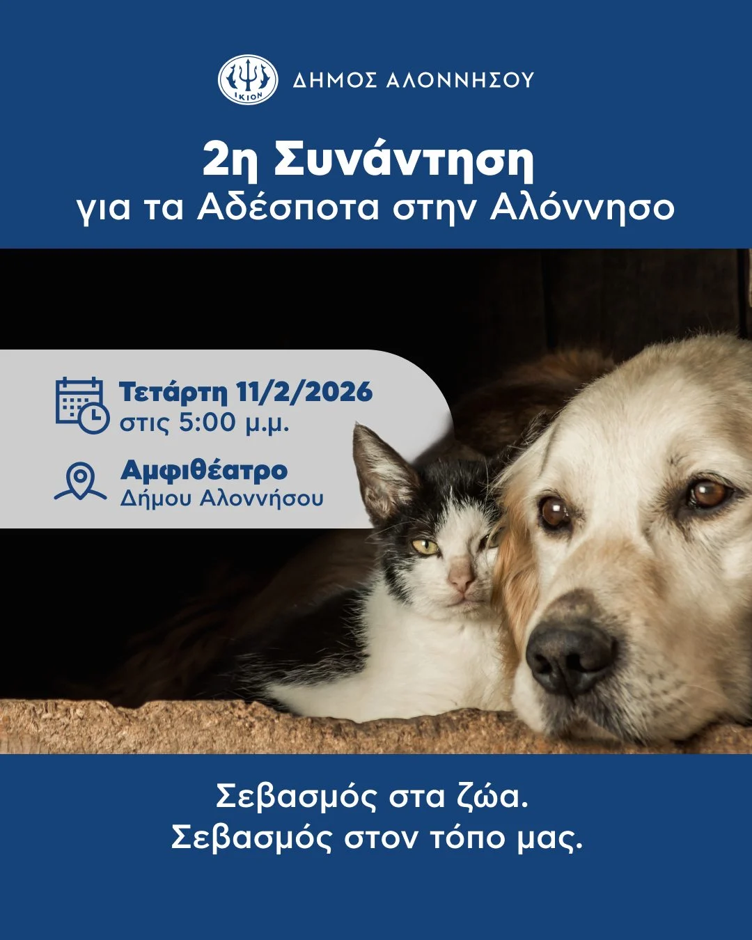 Τα αδέσποτα μάς αφορούν όλους