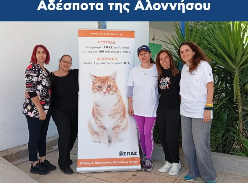 Με μεγάλη επιτυχία ολοκληρώθηκαν οι δράσεις της @axionhellas σε συνεργασία με τον Σύλλογο Προστασίας Αδέσποτων Ζώων (ΣΠΑΖ) στον Δήμο Αλόννησος