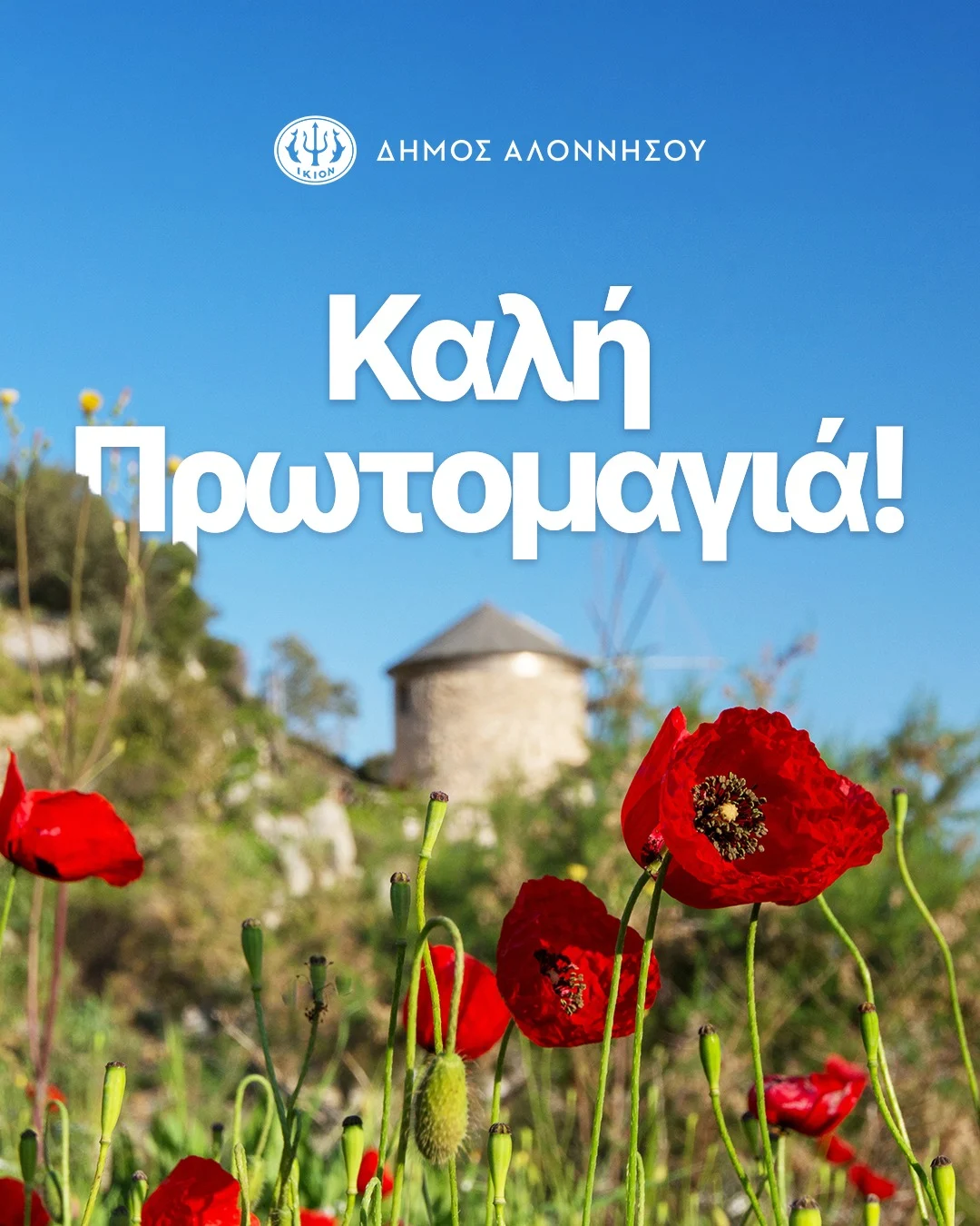 Η 1η Μαΐου σηματοδοτεί την καρδιά της Άνοιξης, την αναγέννηση της φύσης και την ελπίδα για κάθε νέο ξεκίνημα