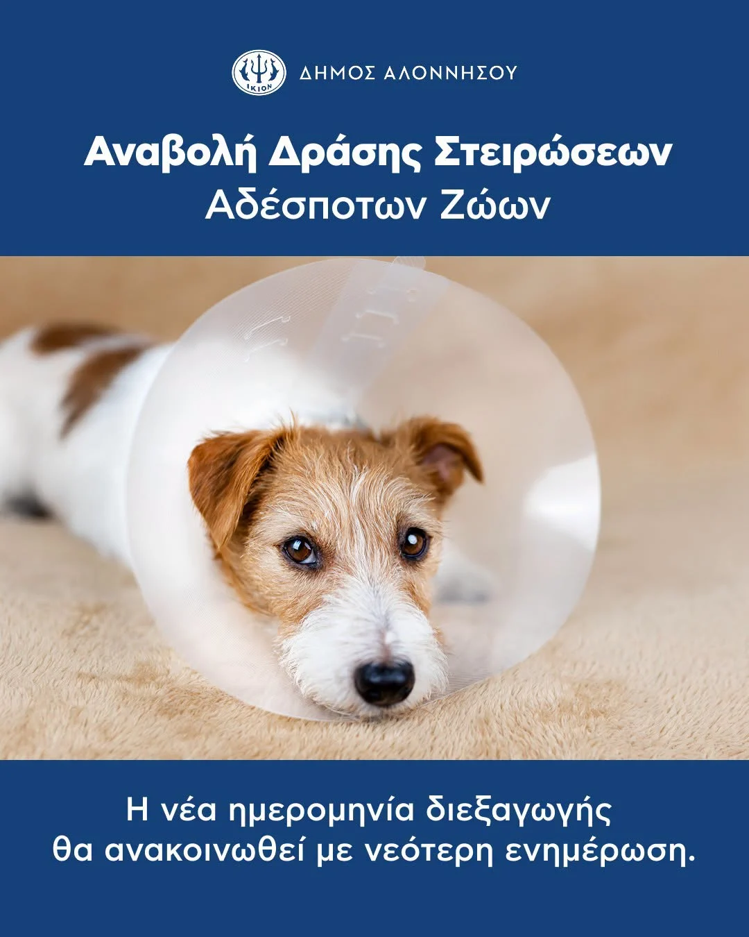 Ανακοίνωση Δήμου Αλοννήσου
