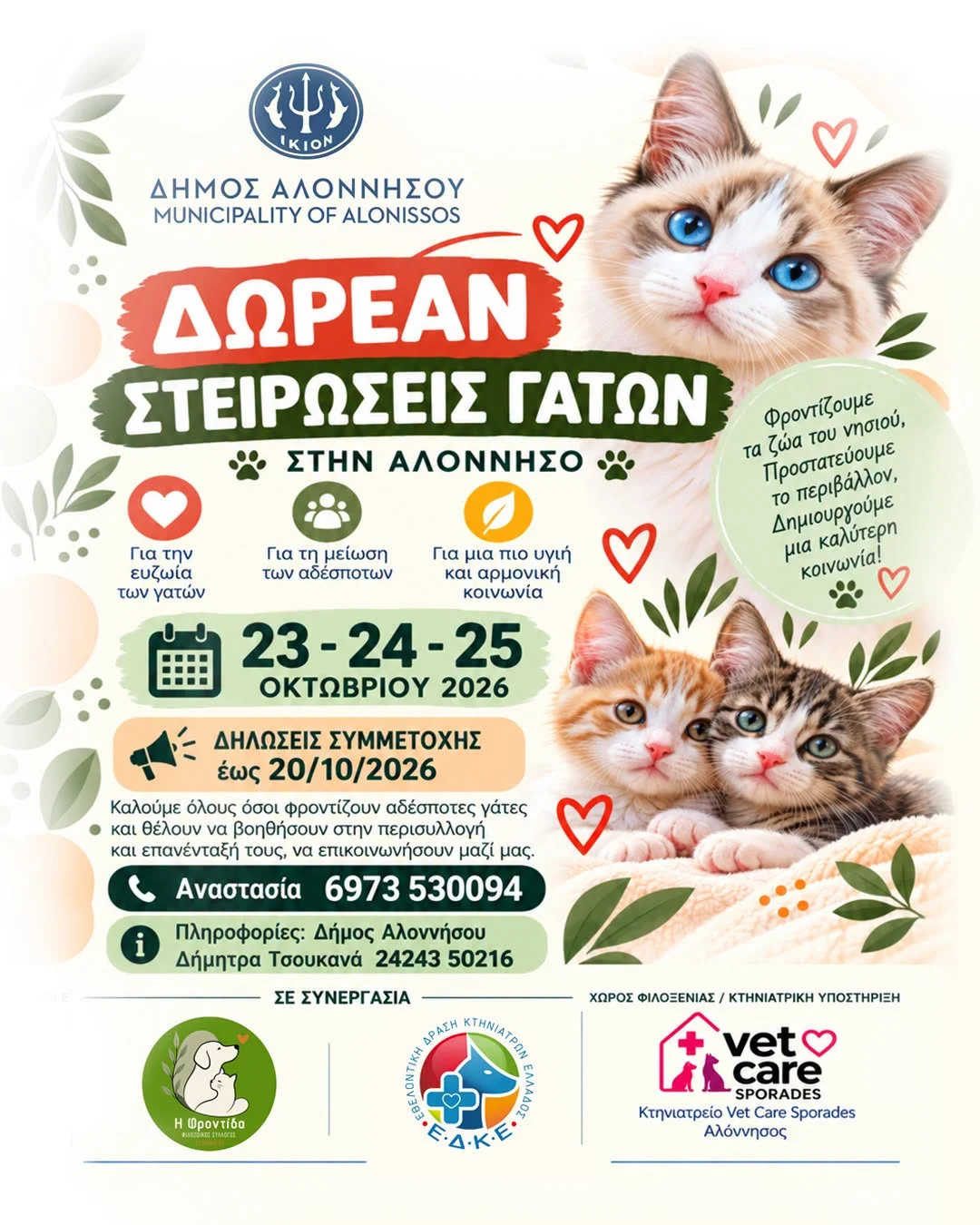 Δωρεάν στειρώσεις αδέσποτων γατών στην Αλόννησο